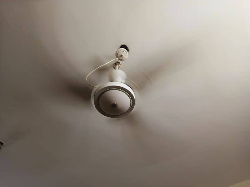 Classic White royal ceiling fan 4