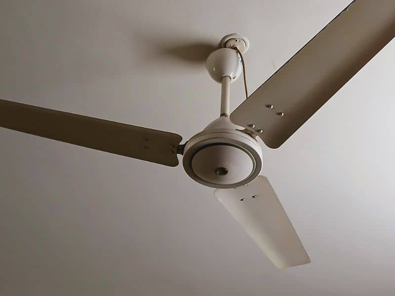 Classic White royal ceiling fan 5