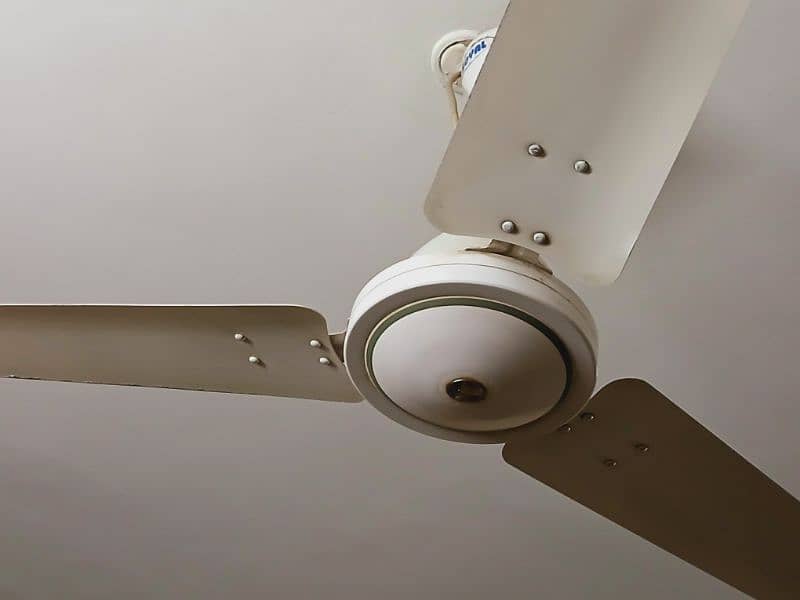 Classic White royal ceiling fan 6