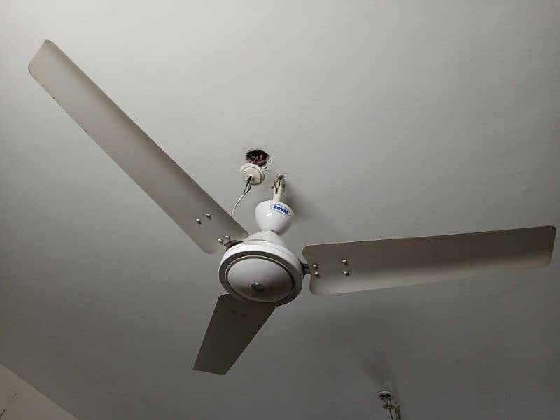 Classic White royal ceiling fan 7