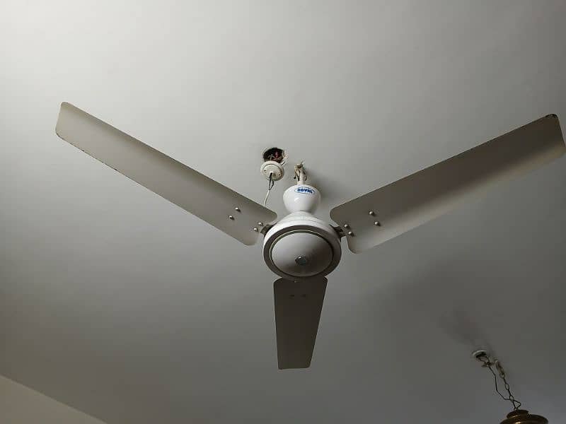 Classic White royal ceiling fan 8