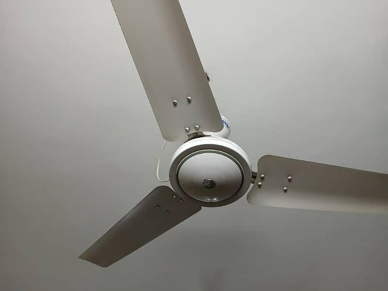 Classic White royal ceiling fan 9