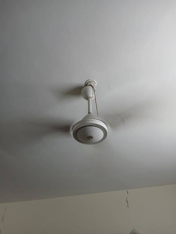 Classic White royal ceiling fan 10