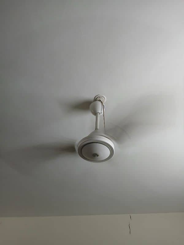 Classic White royal ceiling fan 11