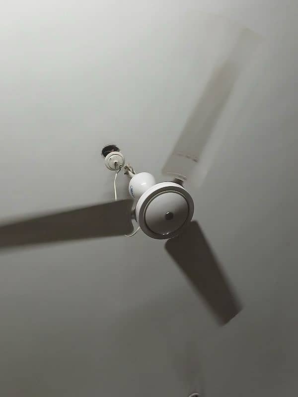 Classic White royal ceiling fan 12