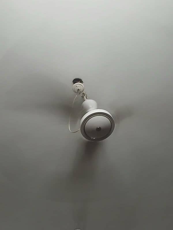 Classic White royal ceiling fan 13