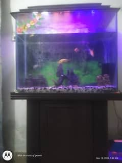 big fish tank for sell 2.5ft