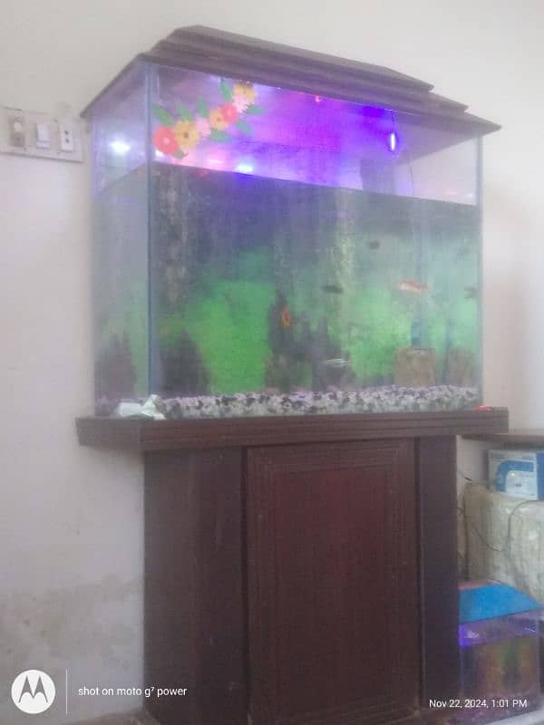 big fish tank for sell 2.5ft 7