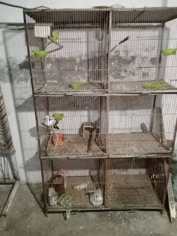 Bird Cage 0