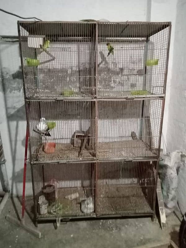 Bird Cage 2