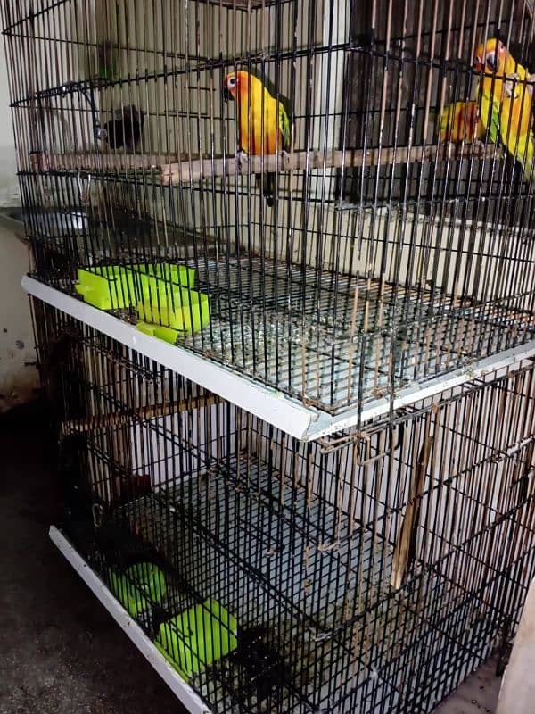 3 /2 /2 cage for sell 7k pr cage 0