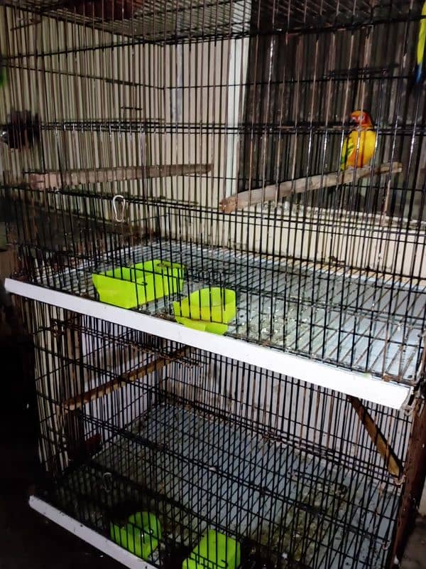 3 /2 /2 cage for sell 7k pr cage 1