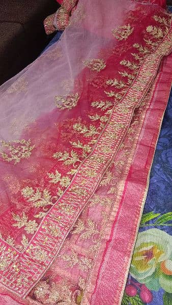 bridle lehnga 1 time used 6