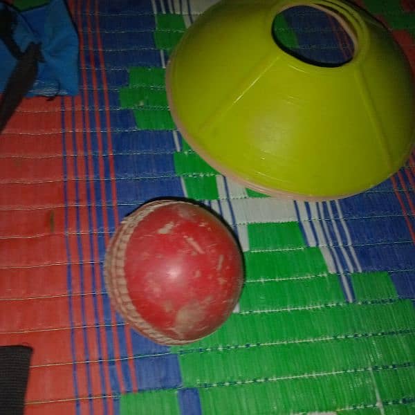 Hard Ball Cricket bat for sale 6