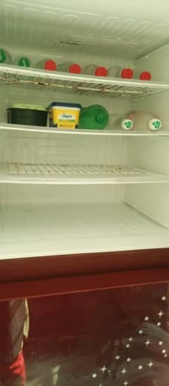 fridge