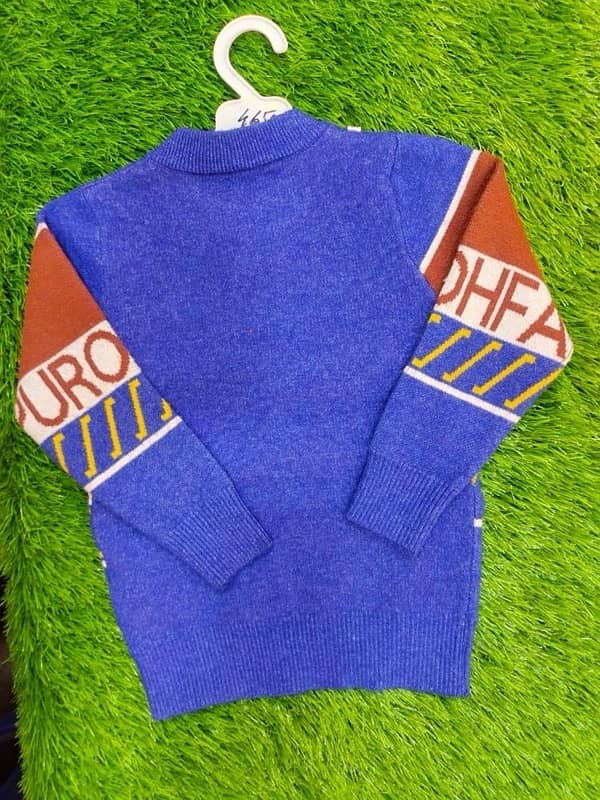 Wool Printed Sweater 1