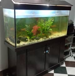 Fish Aquarium with wooden cabnet inclusive of fish