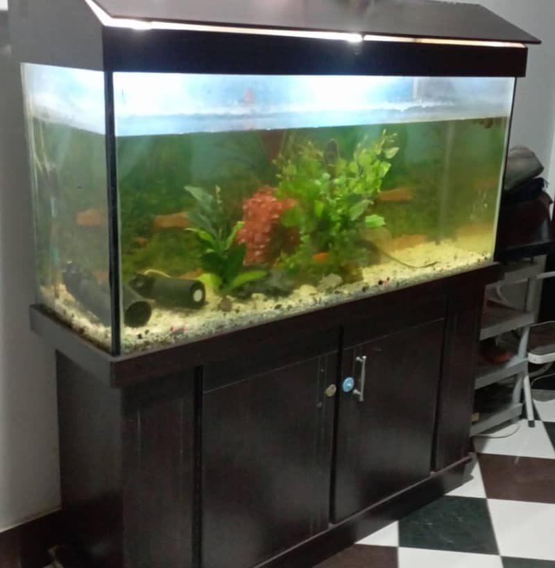 Fish Aquarium with wooden cabnet inclusive of fish 0