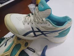 Asics Spikes Model 350 Not All