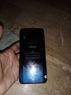 vivo