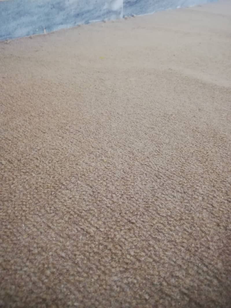 Carpet / Length 16 feet x Width 11 feet / Condition Used 3