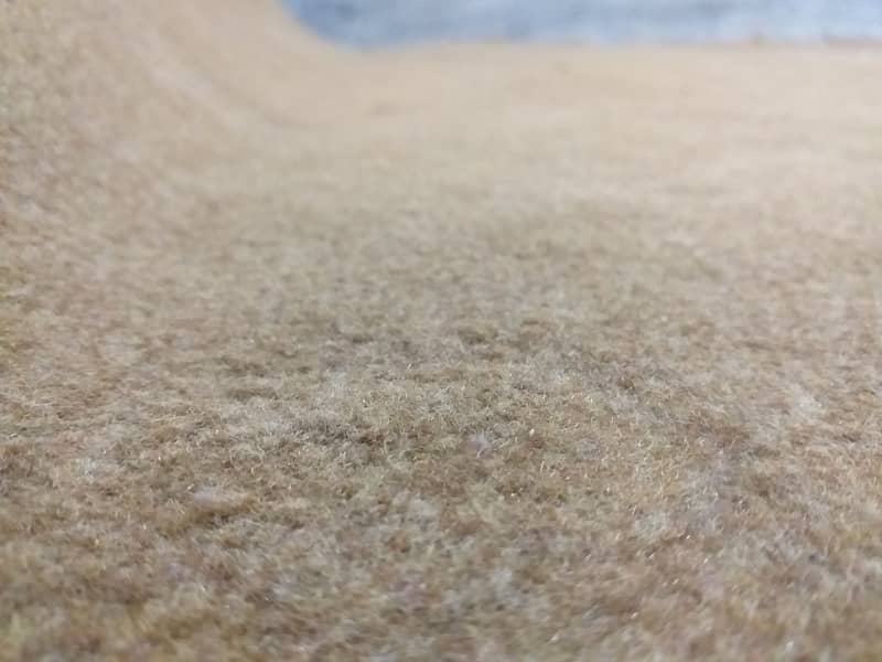 Carpet / Length 16 feet x Width 11 feet / Condition Used 4