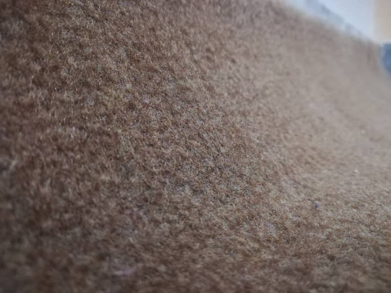 Carpet / Length 16 feet x Width 11 feet / Condition Used 6