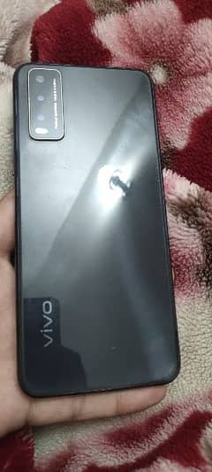 Vivo