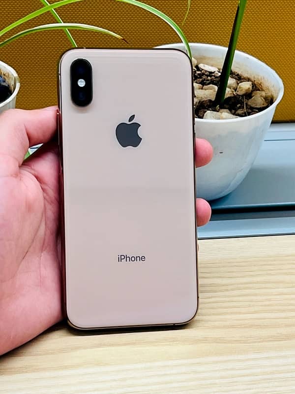 iPhone Xs Non PTA (Factory Unlock) 1