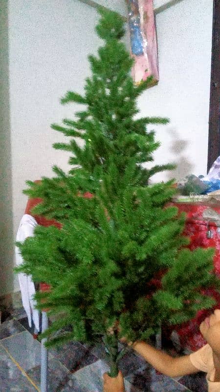 Christmas tree 0