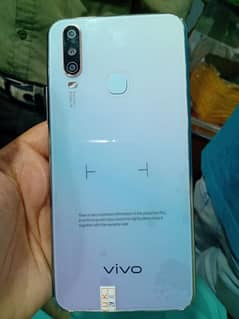 VIVO