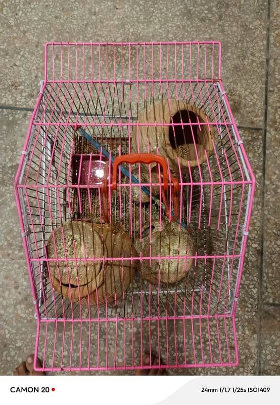 cage for sale love birds 1