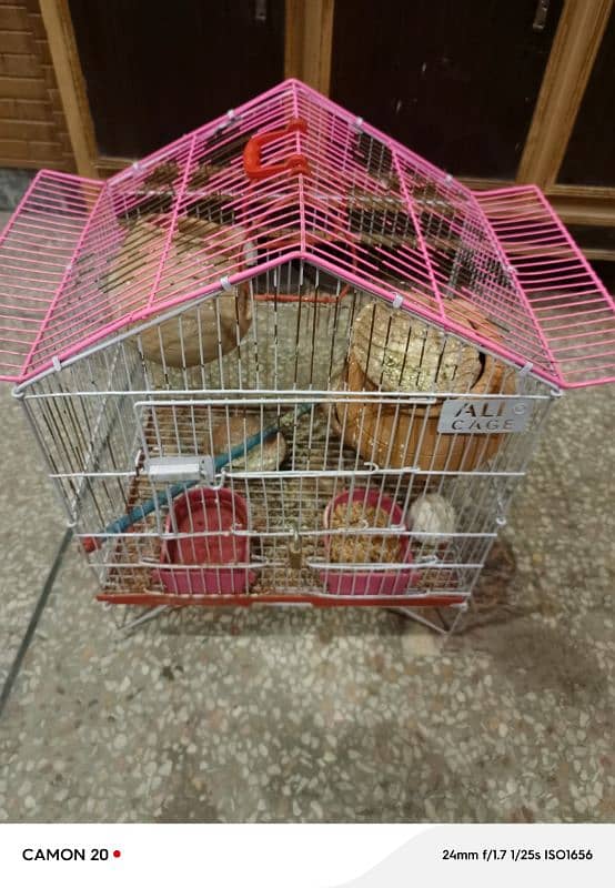 cage for sale love birds 2