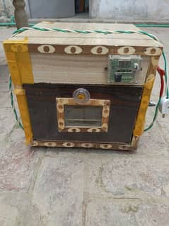 Eggs incubator