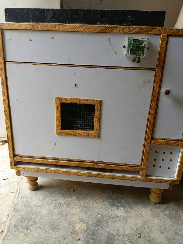 Eggs incubator 4