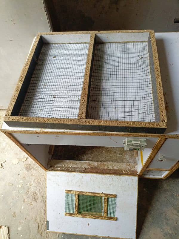 Eggs incubator 5