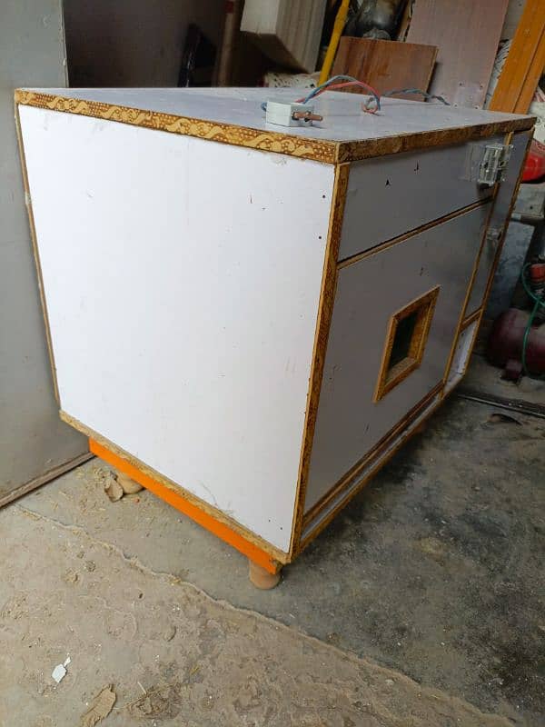 Eggs incubator 7