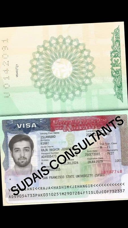 USA UK Canada Germany UAE saudia visas with family 2