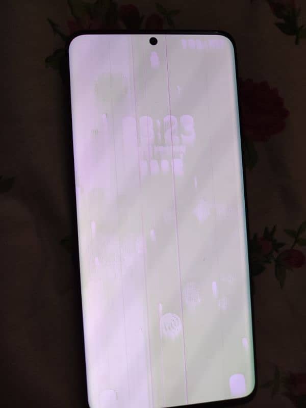 Samsung S20+ plus panel issue 1