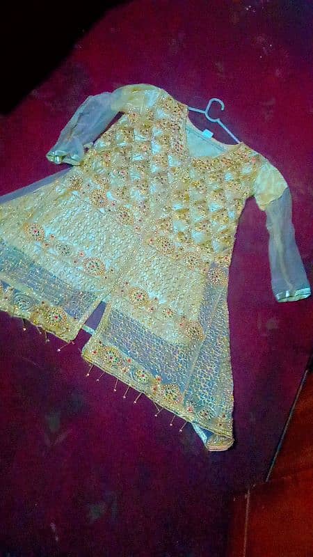 golden dress 4500 Browen colour sharara 3000 blue fancy  dress 2500 0