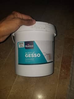 gesso 5kg Bluebird