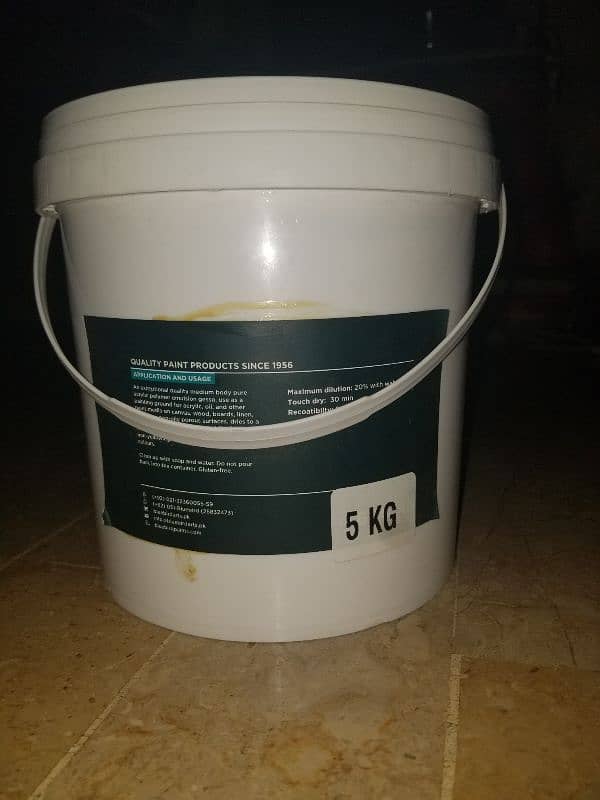 gesso 5kg Bluebird 1