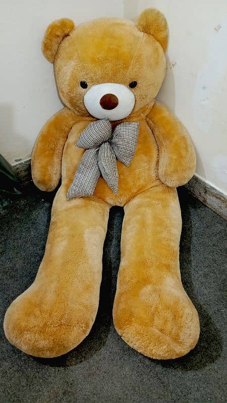 Teddy Bear full Size in a brand new condition 0