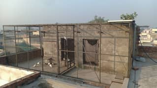 Bird Cage for Urgent Sell (0300-4438610)