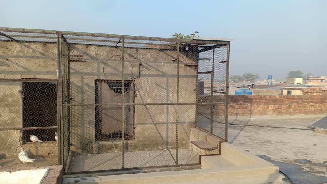 Bird Cage for Urgent Sell (0300-4438610) 1