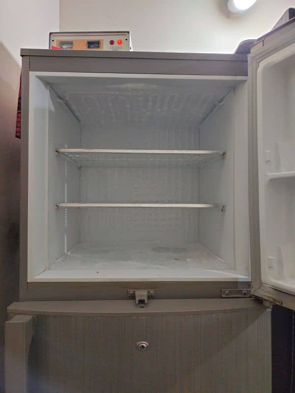 pel fridge 3