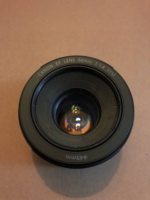 Canon 50mm 1.8 STM lens 1