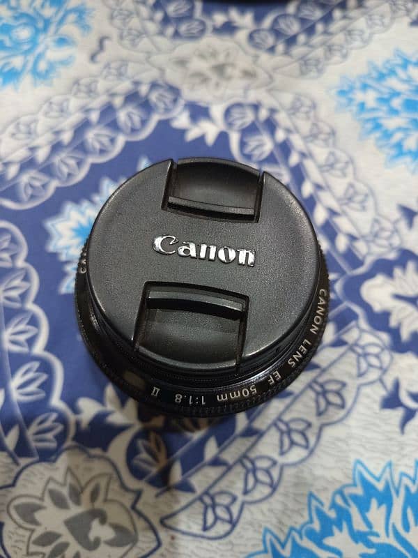 canon 60d with 50mm and 18-200 lens with apkina flash conditon 10/9 13