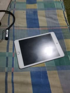 iPad mini 5