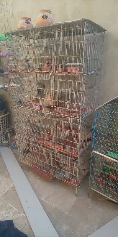 birds cages 1